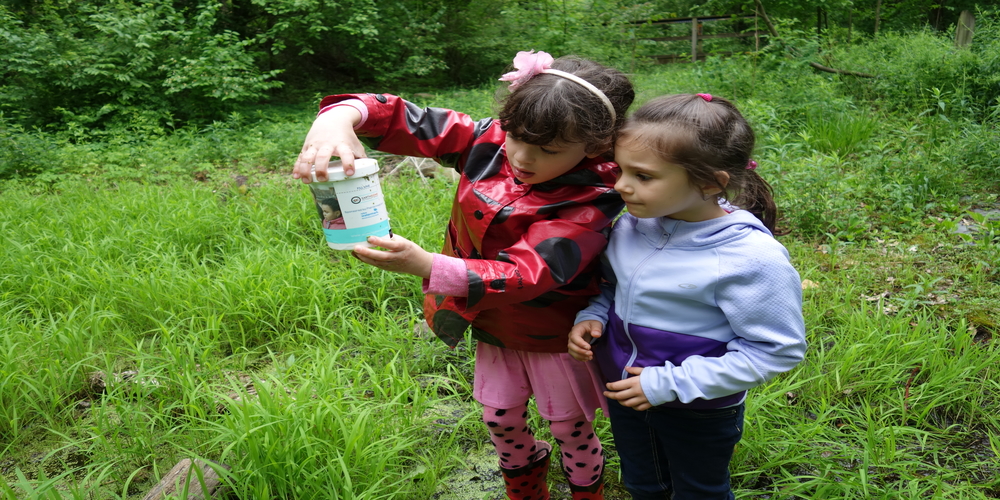 Inspiring Young Scientists with the Mystic Aquarium’s STEM Mentoring